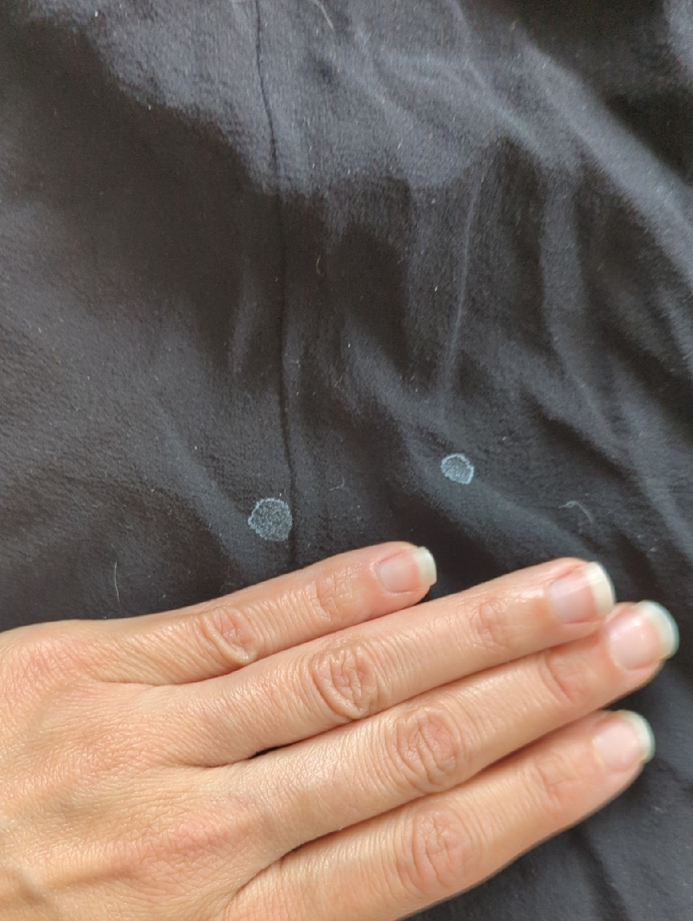 Eileen Fisher Black Lightweight Sheer Tunic Top - Picture 6 of 6